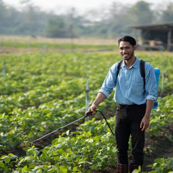 Pesticidas Bogotá Colombia